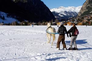 Les activités hivernales à Praloup