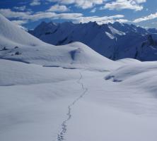 Traces de pas dans la neige