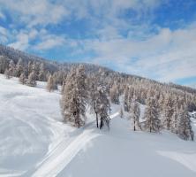 Le domaine de la foret blanche à Risoul