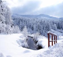 Cours d'eau sous la neige à Ventron