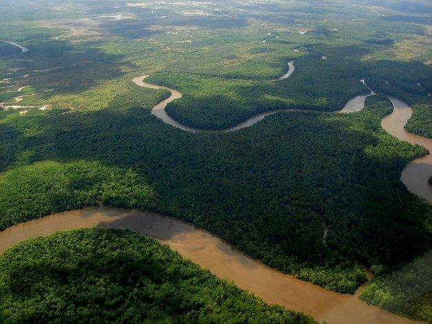 Fleuve Amazone au Brésil