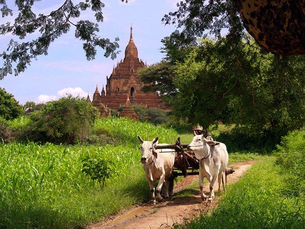 Paysage rural de Birmanie