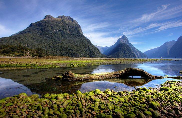 La campagne de Milfrod Sound, Nouvelle-Zélande