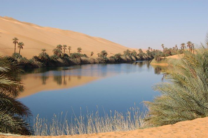 Une oasis dans le désert aride de Libye