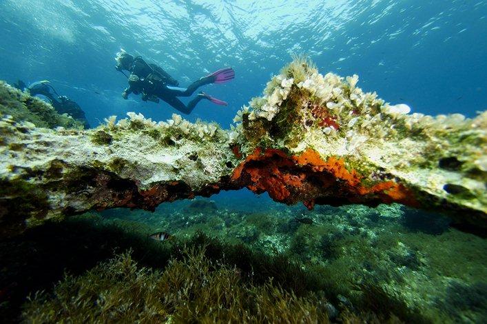 Plongée sous-marine à proximité de Malte