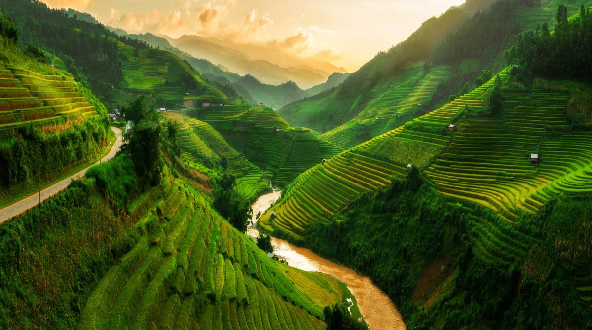 Vietnam: illustration