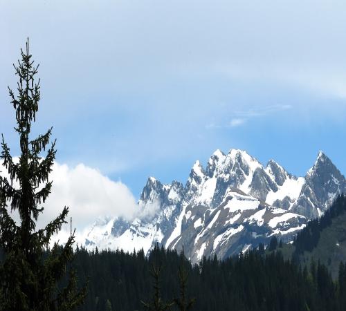 Vue sur la montagne
