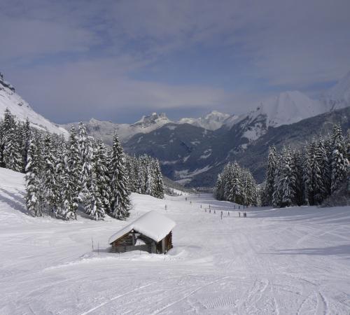 Chalet sous la neige
