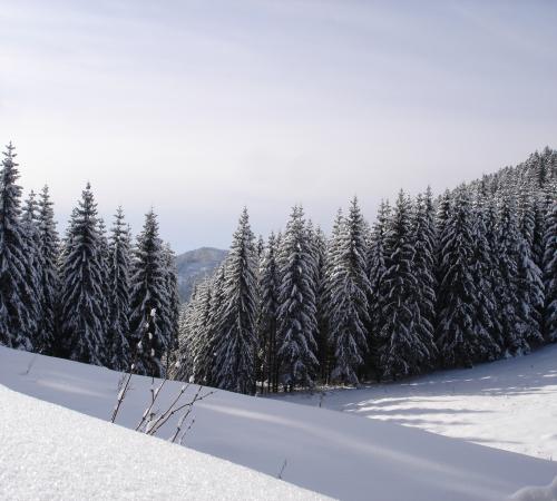 Paysage d'hiver au Lac Blanc