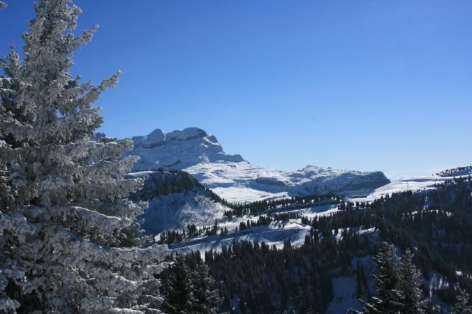 Paysage d'hiver aux Carroz
