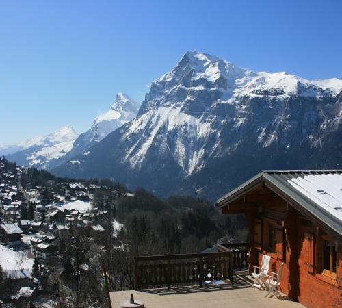 Vue sur la station des Carroz