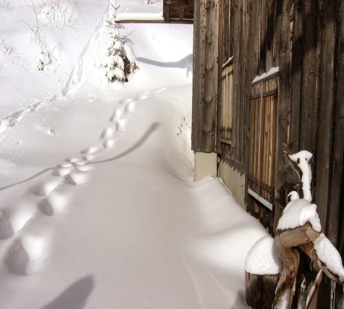 Un chalet près de Morzine
