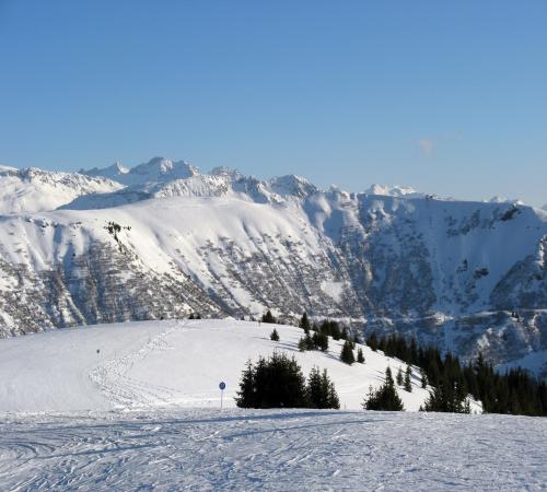 Piste de ski à Notre Dame de Bellecombe