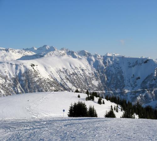 Piste de ski à Notre Dame de Bellecombe
