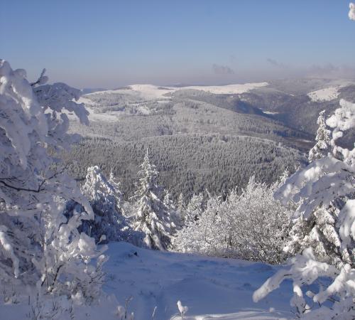 Vue plongeante sur la vallée de Ventron
