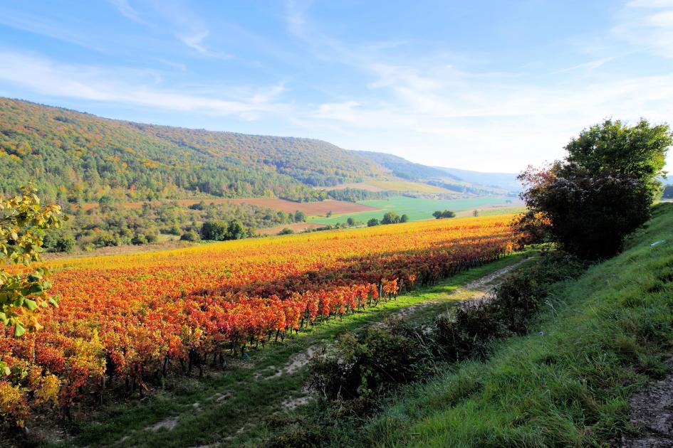Météo Côte d'Or 15 jours Météocity Carte et temps du département
