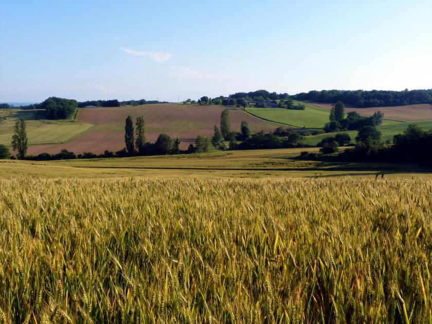 Météo Gers 15 jours M6 météo Carte et temps du département